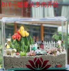 上海清繪園藝養(yǎng)護服務(wù) 以專業(yè)匠心，守護城市綠意之美